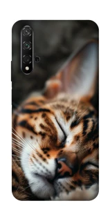 Чехол на Huawei Honor 20 / Nova 5T Cat paws фото 1 из 1