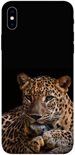 Чехол на Apple iPhone XS Max (6.5") Leopard v4 фото 1 из 1