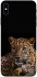Чехол на Apple iPhone XS Max (6.5") Leopard v4 фото 1 из 1
