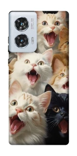 Чохол на Motorola Edge 50 Fusion Коти фото 1 з 1