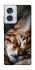 Чохол на Motorola Edge 50 Fusion Cat paws фото 1 з 1