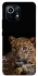 Чохол на Xiaomi Mi 11 Leopard v4 фото 1 з 1