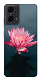 Чохол на Motorola Moto G04 Лотос фото 1 з 1