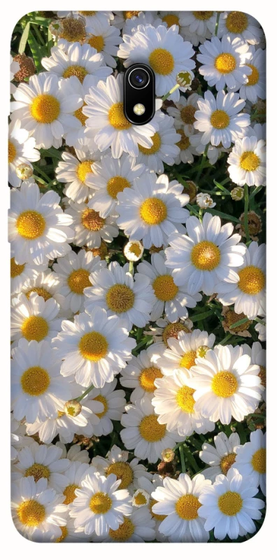Чохол на Xiaomi Redmi 8a Поле ромашок фото 1 з 1