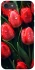 Чохол на Apple iPhone 7 / 8 (4.7") Червоні тюльпани фото 1 з 1