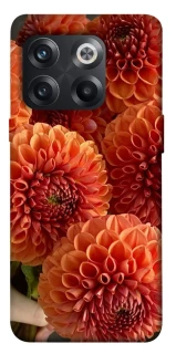 Чохол на OnePlus 10T Flower1 фото 1 з 1