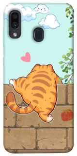 Чехол на Samsung Galaxy A20 / A30 Cat the meow фото 1 Чехол на Samsung Galaxy A20 / A30 Cat the meow фото 1 из 1