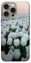 Чохол на Apple iPhone 15 Pro Max (6.7") Flowers v1 фото 1 з 1