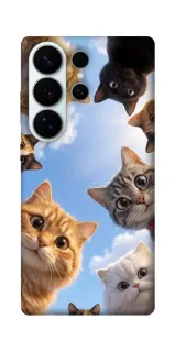 Чехол на Samsung Galaxy S26 Pro Cats фото 1 из 1