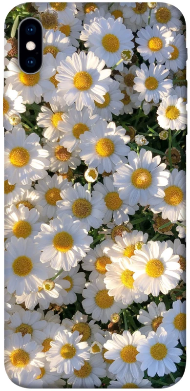 Чохол на Apple iPhone XS Max (6.5") Поле ромашок фото 1 з 1