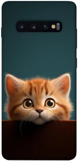 Чохол на Samsung Galaxy S10+ Чохол Кошеня фото 1 з 1