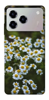 Чехол на ZTE Blade A76 Ромашки v13 фото 1 из 1