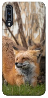 Чехол на Samsung Galaxy A70 (A705F) Лиса фото 1 из 1