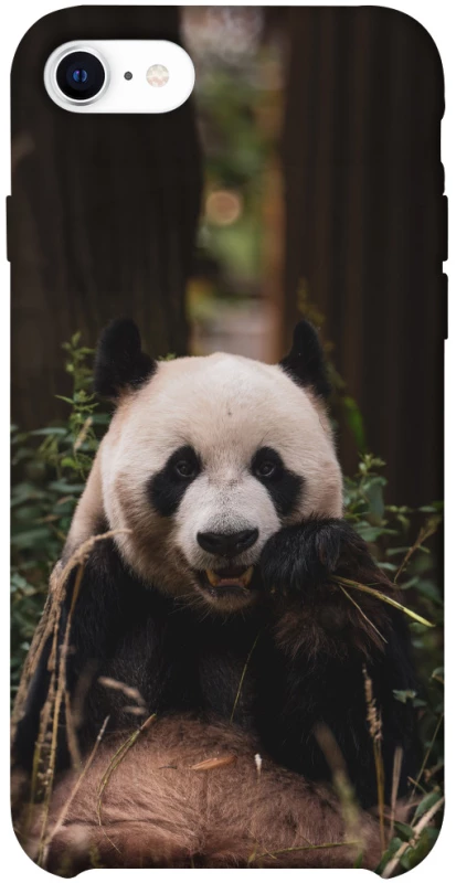 Чохол на Apple iPhone SE (2020) Панда фото 1 з 1