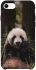 Чохол на Apple iPhone SE (2020) Панда фото 1 з 1