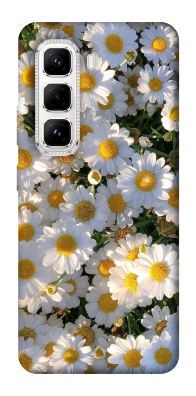 Чохол на Infinix Hot 50 Pro Поле ромашок фото 1 з 1