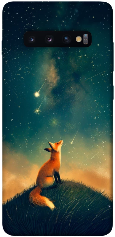 Чехол на Samsung Galaxy S10+ Sky fox фото 1 из 1