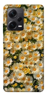Чехол на Xiaomi Redmi Note 12 Pro 5G Camomile фото 1 из 1