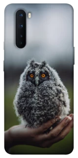 Чехол на OnePlus Nord Совёнок фото 1 из 1