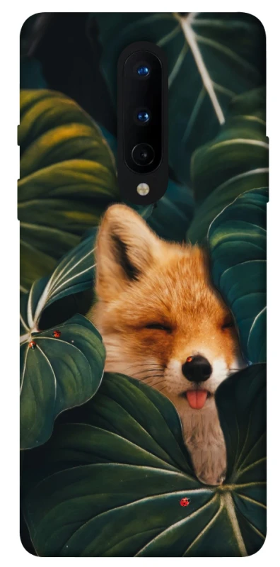 Чехол на OnePlus 8 Fox фото 1 из 1