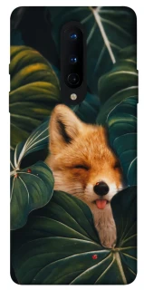 Чохол на OnePlus 8 Fox фото 1 з 1