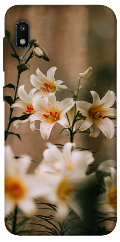 Чехол на Samsung Galaxy A10 (A105F) Лилии фото 1 из 1