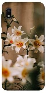 Чохол на Samsung Galaxy A10 (A105F) Лілії фото 1 з 1