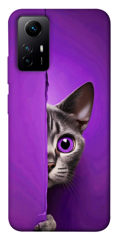 Чохол на Xiaomi Redmi Note 12S Кіт-підглядач фото 1 з 1
