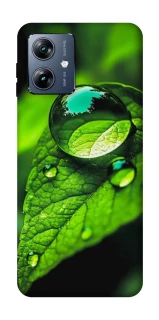 Чохол на Motorola Moto G54 Power Flowers v16 фото 1 з 1