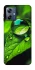 Чехол на Motorola Moto G54 Power Flowers v16 фото 1 из 1