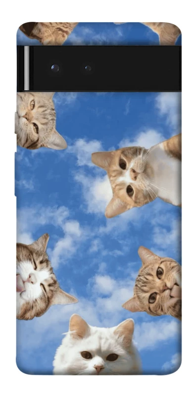 Чохол на Google Pixel 6 Сats фото 1 з 1