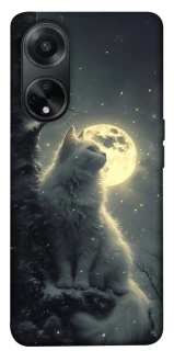 Чехол на Oppo A98 Кот под луной фото 1 из 1