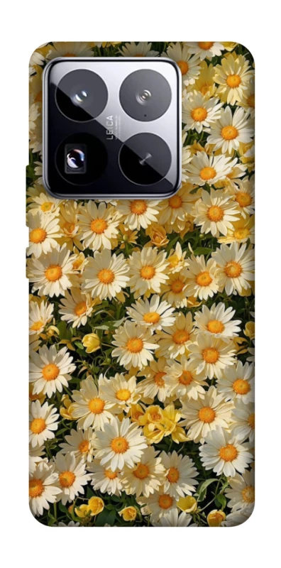 Чохол на Xiaomi 15 Pro Camomile фото 1 з 1