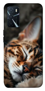 Чохол на Oppo A16s / A16 Cat paws фото 1 з 1