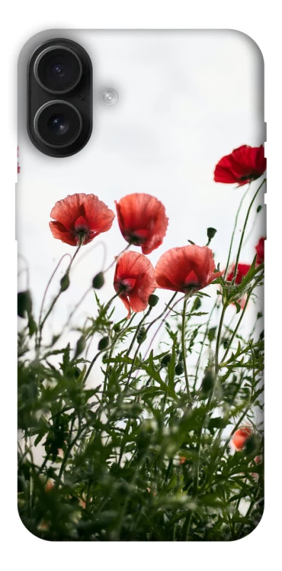 Чохол на Apple iPhone 16 Plus Поле маків фото 1 з 1
