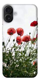 Чехол на Apple iPhone 16 Plus Поле маков фото 1 из 1