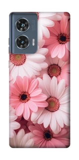 Чехол на Motorola Edge 50 Розовые цветы v2 фото 1 из 1