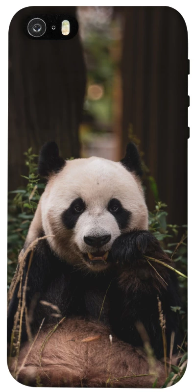 Чохол на Apple iPhone 5/5S/SE Панда фото 1 з 1