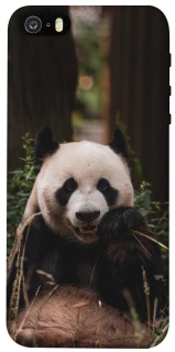 Чехол на Apple iPhone 5/5S/SE Панда фото 1 из 1