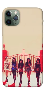 Чохол на Apple iPhone 11 Pro (5.8") RED VELVET v4 фото 1 з 1