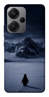 Чехол на Xiaomi Redmi Note 13 Pro+ But why? фото 1 из 1