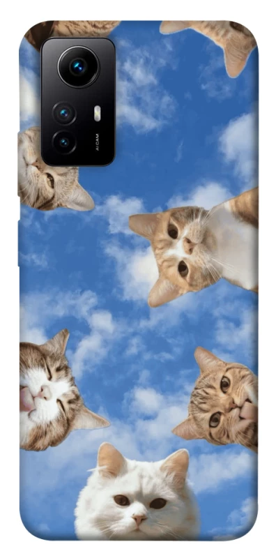 Чохол на Xiaomi Redmi Note 12S Сats фото 1 з 1