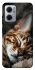 Чохол на Xiaomi Redmi Note 11E Cat paws фото 1 з 1