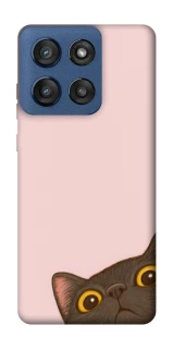 Чехол на Motorola Edge 60 Stylus Peeping cat фото 1 Чехол на Motorola Edge 60 Stylus Peeping cat фото 1 из 1
