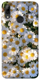 Чохол на Huawei P Smart (2019) Поле ромашок фото 1 з 1
