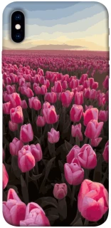 Чехол на Apple iPhone XS Max (6.5") Spring Awakening фото 1 из 1