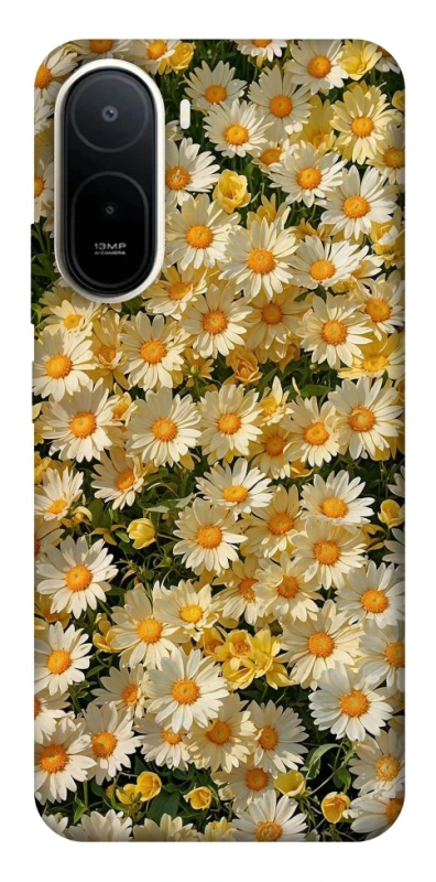 Чохол на Xiaomi Redmi A7 Pro 4G Camomile фото 1 з 2