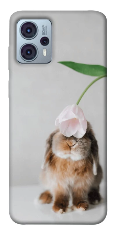 Чохол на Motorola Moto G23 Bunny фото 1 з 1