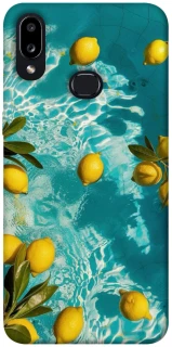 Чохол на Samsung Galaxy A10s Lemon фото 1 з 1