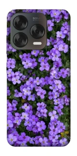 Чехол на ZTE Blade V70 Design Flowers v17 фото 1 из 2